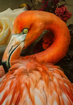 0312-Floral Flamingo
