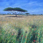 0061-Acacia with Poppies