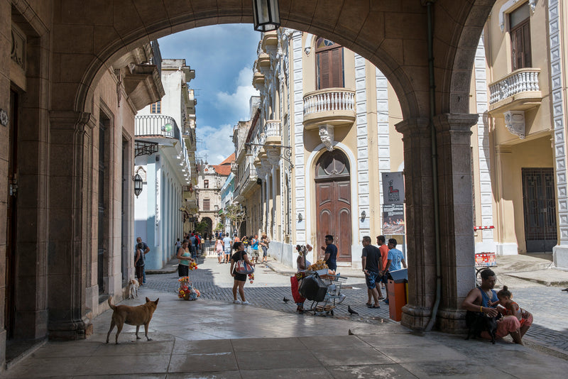 3752-Havana Oldest Market